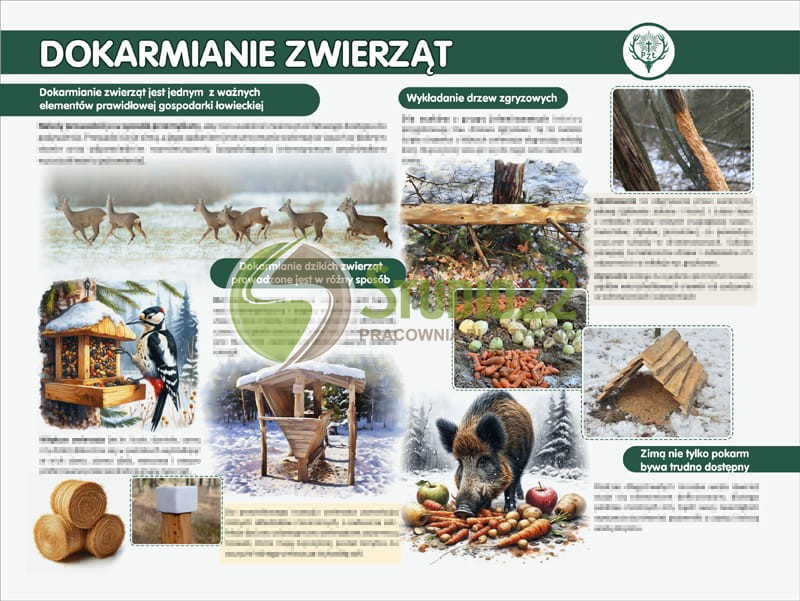 Dokarmianie zwierząt Etyka łowiecka - Dekalog Myśliwego