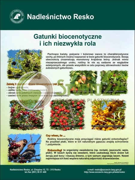 Gatunki biocenotyczne
