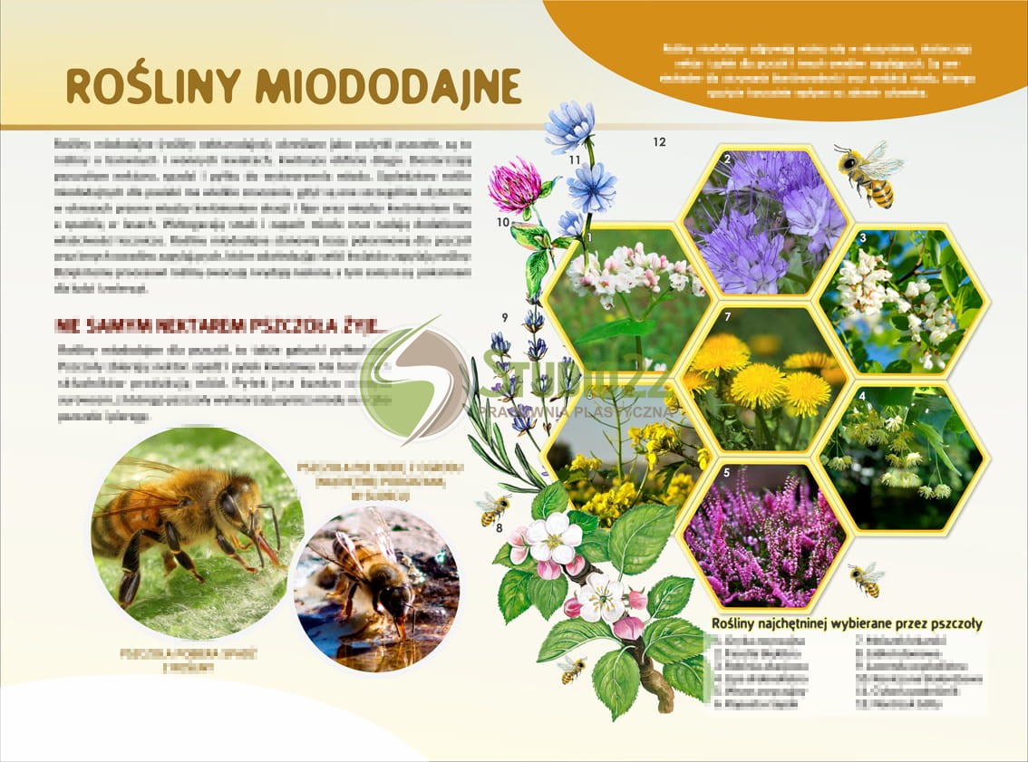 Rośliny miododajne