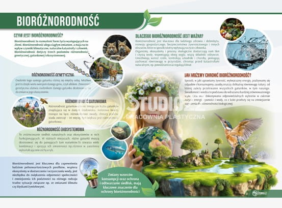Bioróżnorodność