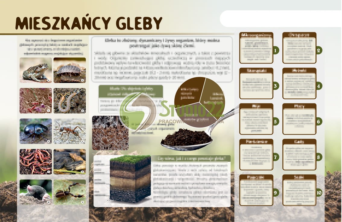 Tablica magnetyczna - "Mieszkańcy gleby"