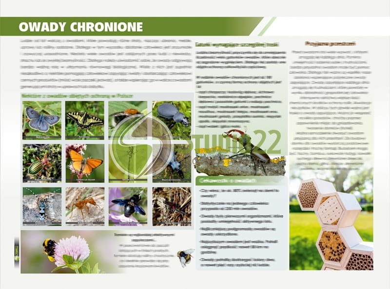 Owady chronione