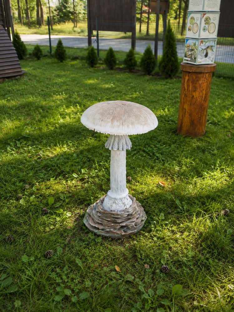 RZEŹBA EDUKACYJNA – Muchomor sromotnikowy