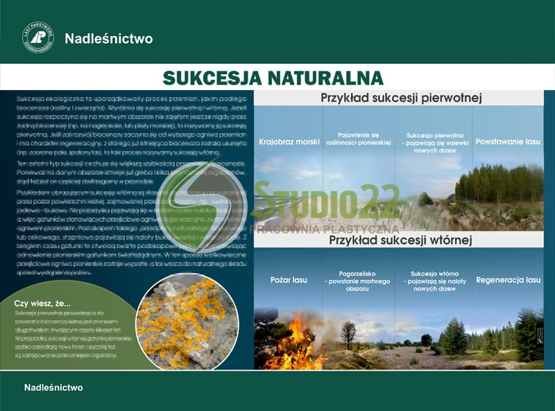 Sukcesja naturalna