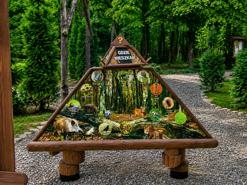 PIRAMIDA WIEDZY-INTERAKTYWNA PIRAMIDA EDUKACYJNA