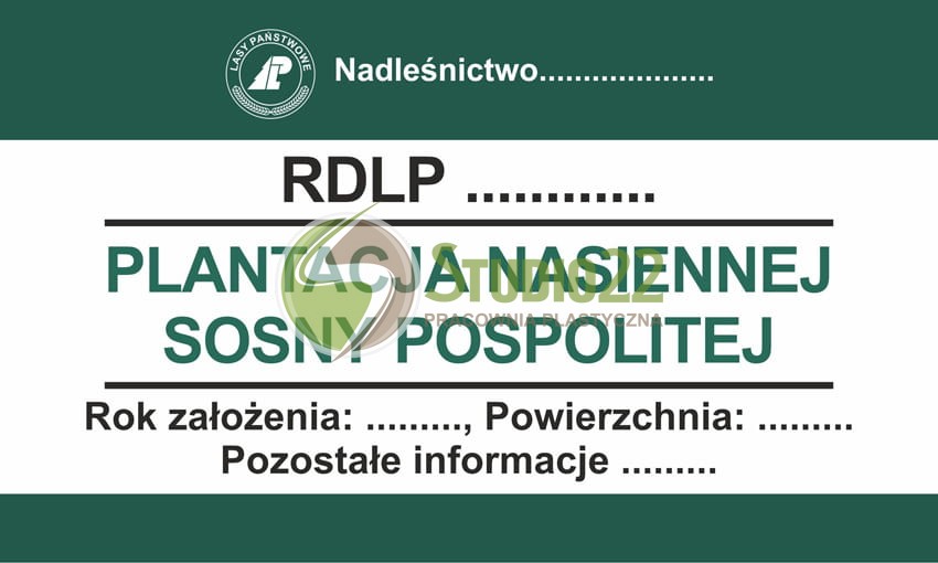 Plantacja nasienna I