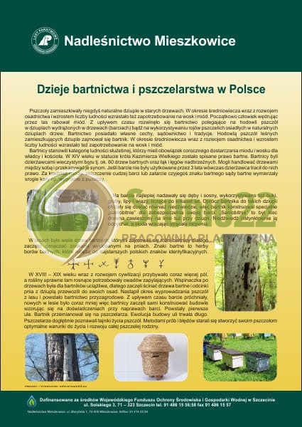 Dzieje bartnictwa w Polsce