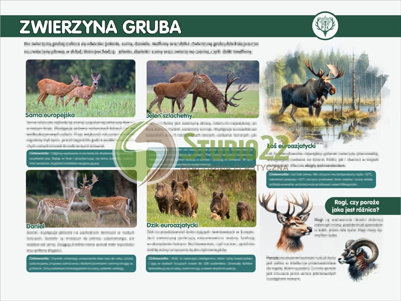 Zwierzyna gruba