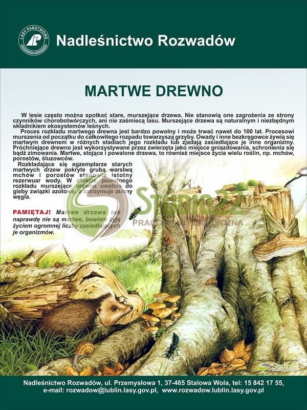 Martwe drewno