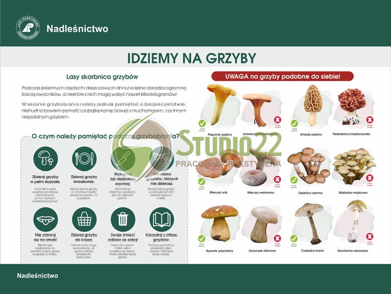 Idziemy na grzyby