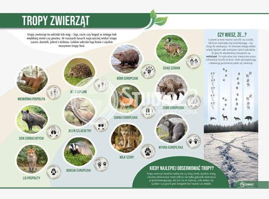 Tropy zwierząt