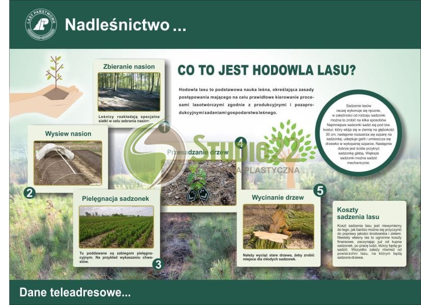 Co to jest hodowla lasu?