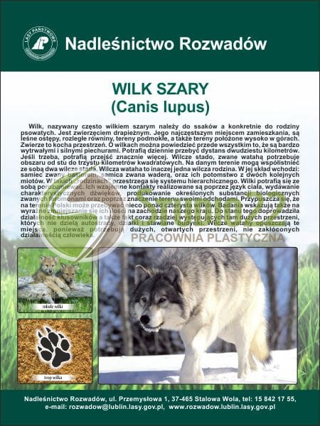 Wilk