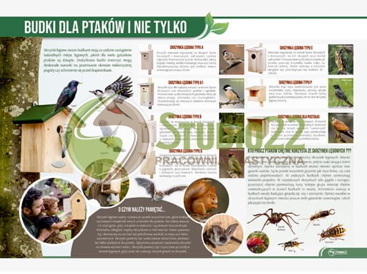 Budki dla ptaków i nie tylko