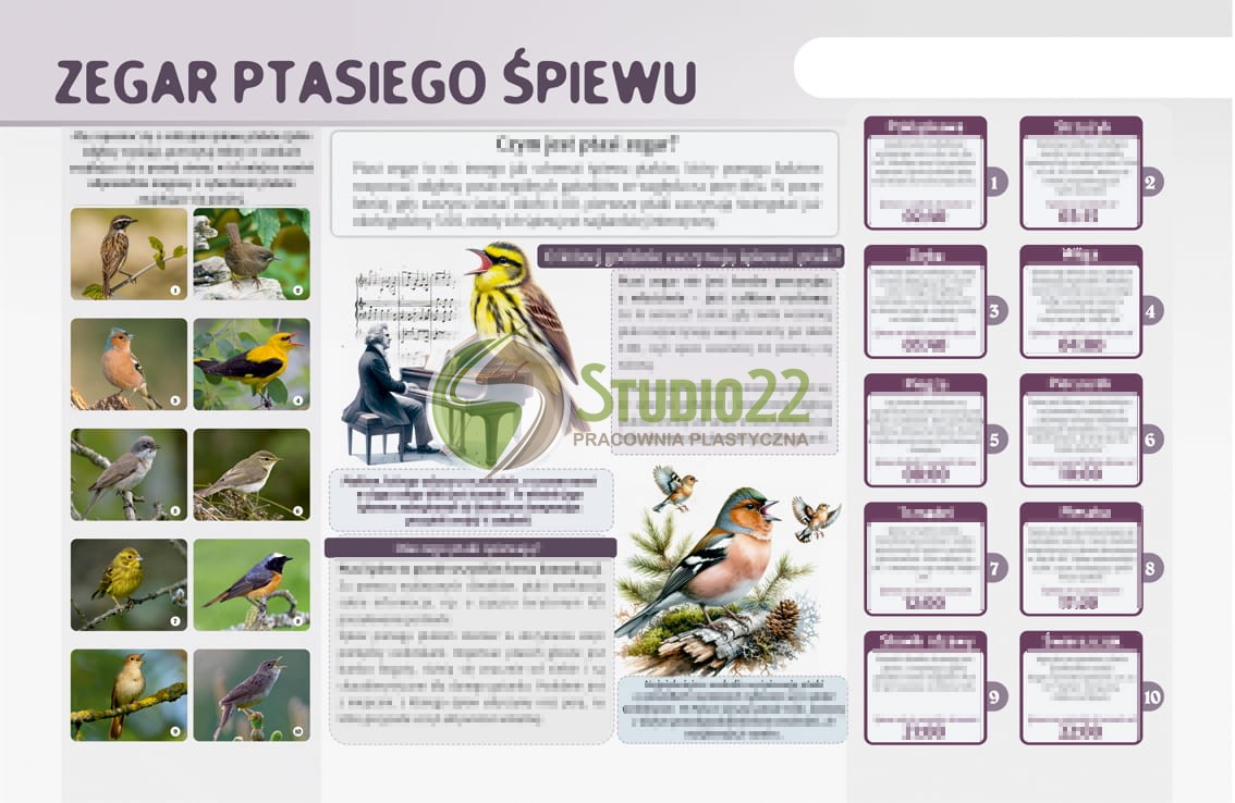 Tablica magnetyczna - "Zegar ptasiego śpiewu"