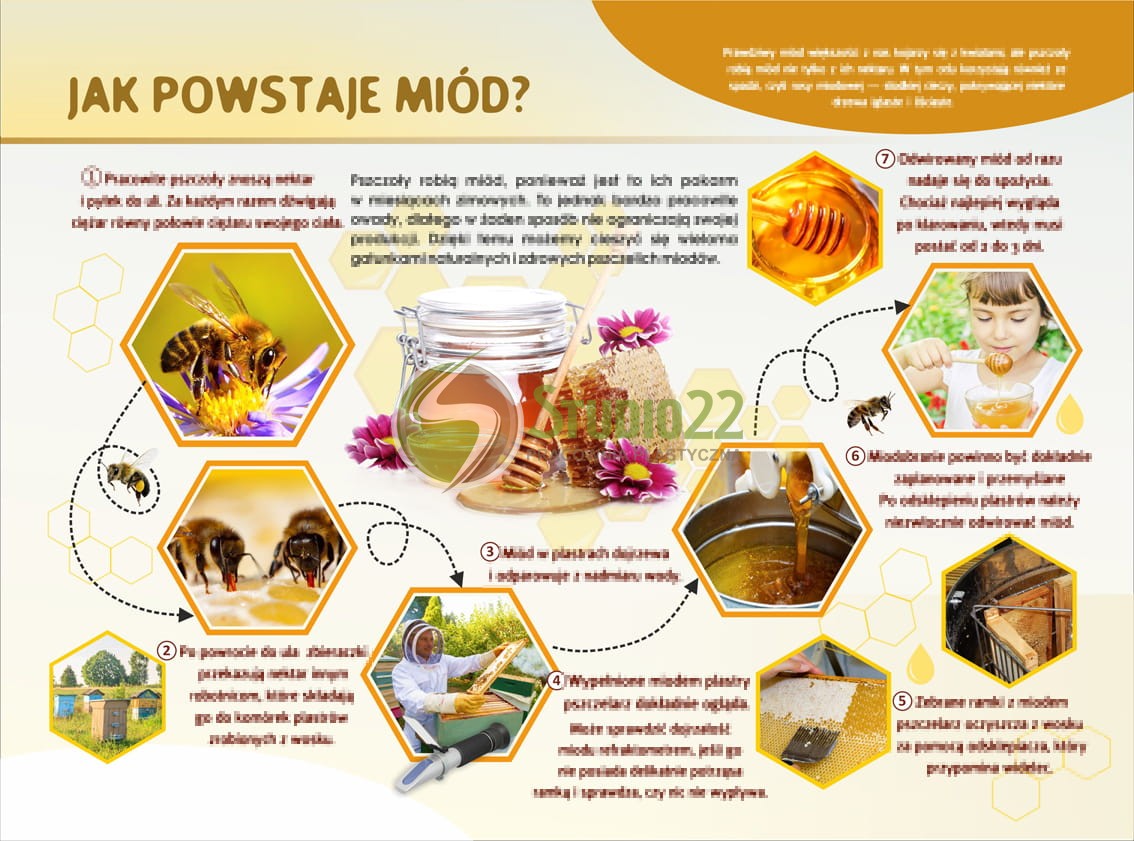 Jak powstaje miód?