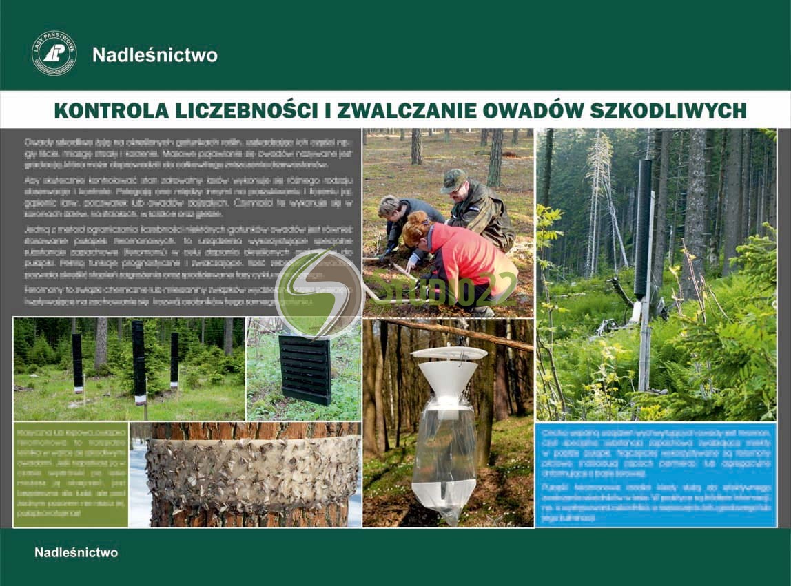 Kontrola liczebności i zwalczanie owadów szkodliwych