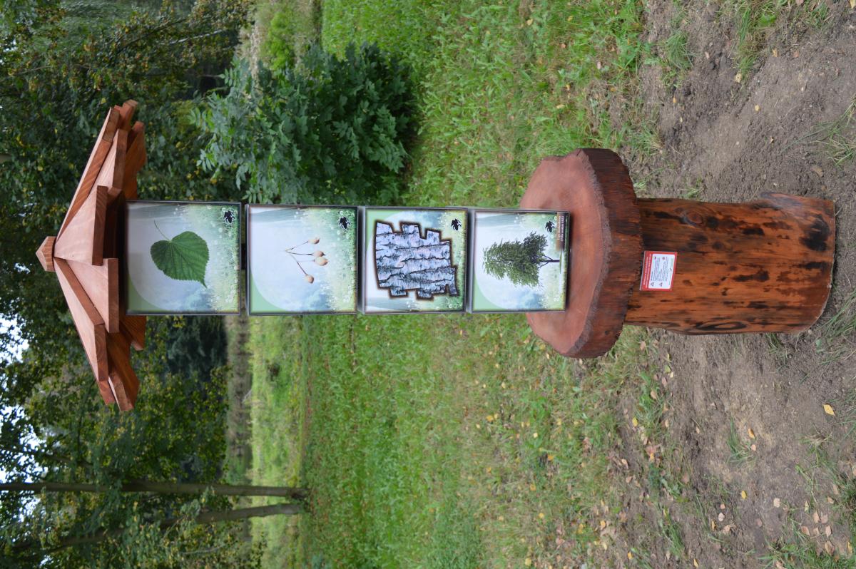 Leśna łamigłówka