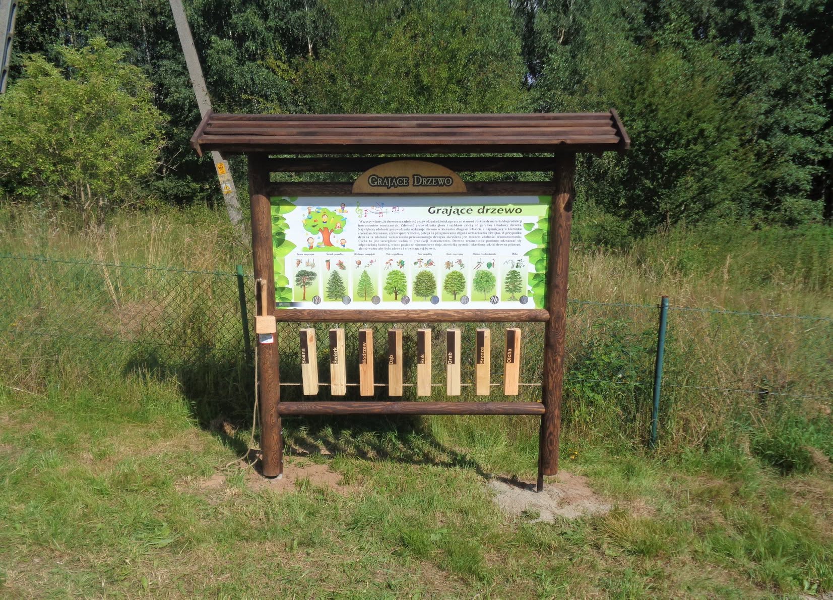 Grające drzewo
